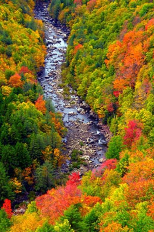 Blackwater Falls State Park Lodge Davis Exteriér fotografie